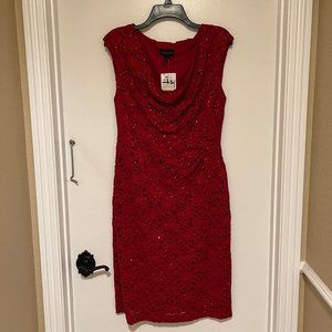Lined Lace Dress with Sequin Embellishments Size 12 (NWT)